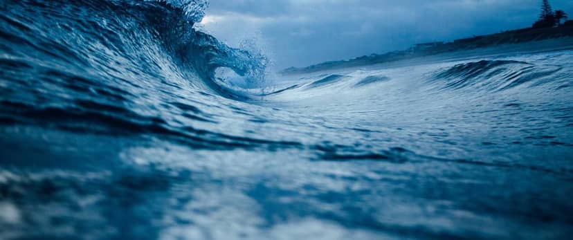 Unauth title qMPVtMJR